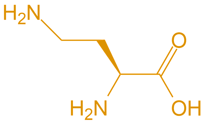 2,4-二氨基丁酸(專肽生物www.cqhongyadong.com.cn)