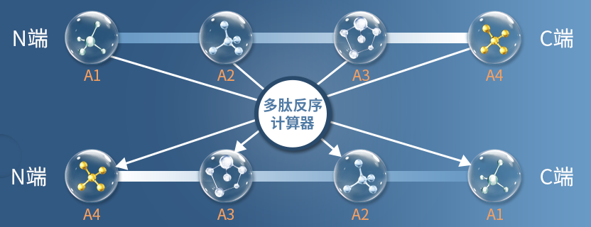 如何將多肽序列反轉(zhuǎn)過來？推薦使用多肽反序計算器|專肽生物-多肽計算器