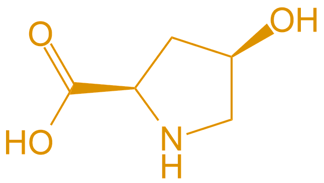 D型羥脯氨酸(專肽生物www.cqhongyadong.com.cn)
