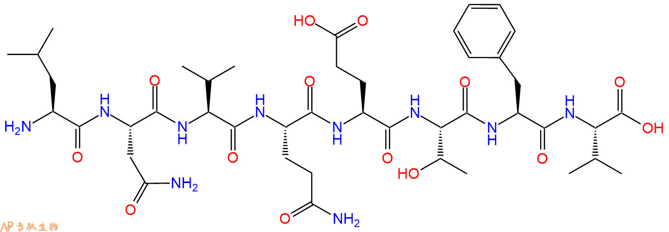 多肽LNVQETFV的參數(shù)和合成路線|三字母為L(zhǎng)eu-Asn-Val-Gln-Glu-Thr-Phe
