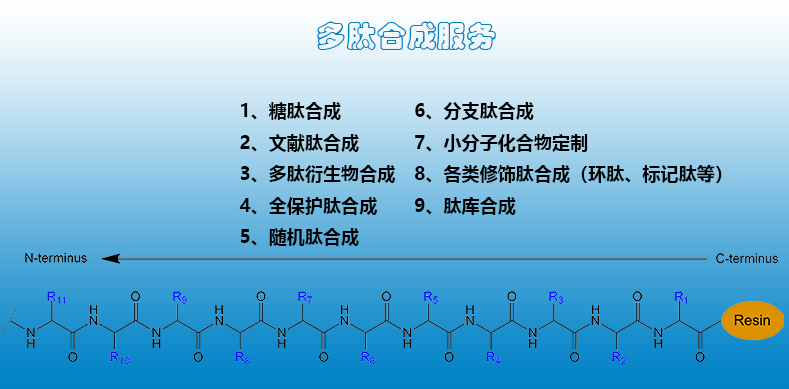 什么是定制多肽合成？