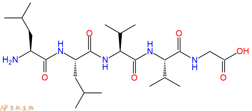 多肽LLVVG的參數(shù)和合成路線|三字母為L(zhǎng)eu-Leu-Val-Val-Gly|專肽生物產(chǎn)品-定制多