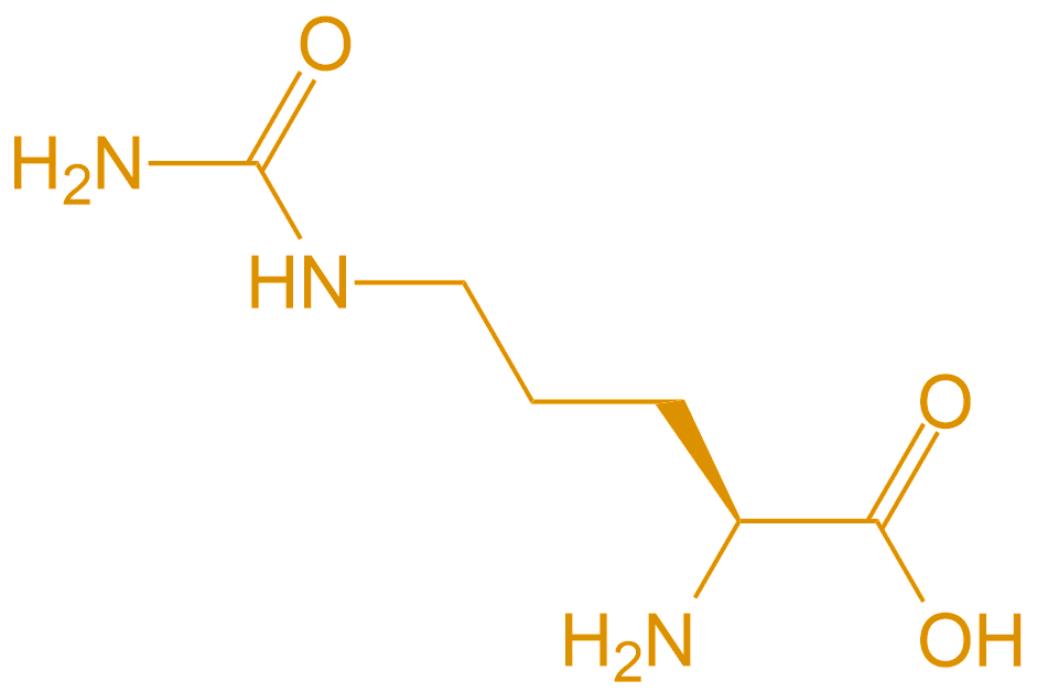 瓜氨酸Cit(專肽生物www.cqhongyadong.com.cn)