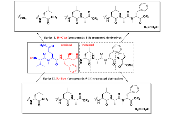 推薦文獻(xiàn)：設(shè)計(jì)，合成和生物活性的tasiamide B衍生物作為組織蛋白酶D抑制劑