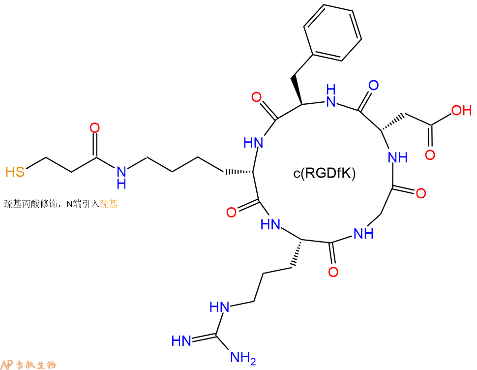 專肽生物產(chǎn)品c(RGD)環(huán)肽：cyclo{RGDfK(Mpa)}、環(huán)狀多肽c(RGDfK)-巰基、Mpa-c(RGDfK)、c(RGDfK)-SH