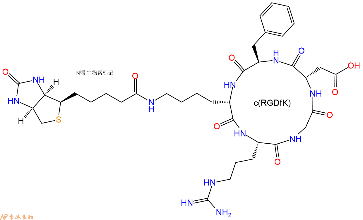 專肽生物產(chǎn)品c(RGD)環(huán)肽：c[RGDfK(Biotin)]|、環(huán)狀多肽c(RGDfK)-生物素