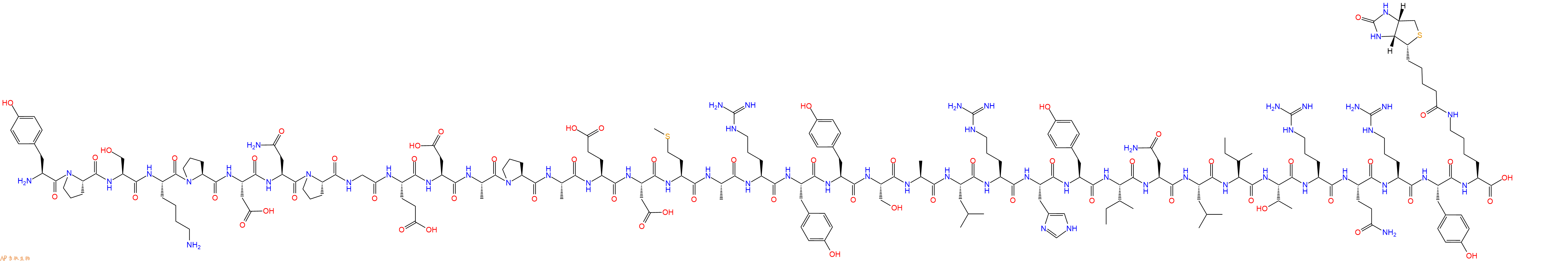 專肽生物產品神經肽Y Neuro Peptide Y-Lys(Biotin)humanrat1927927-12-5