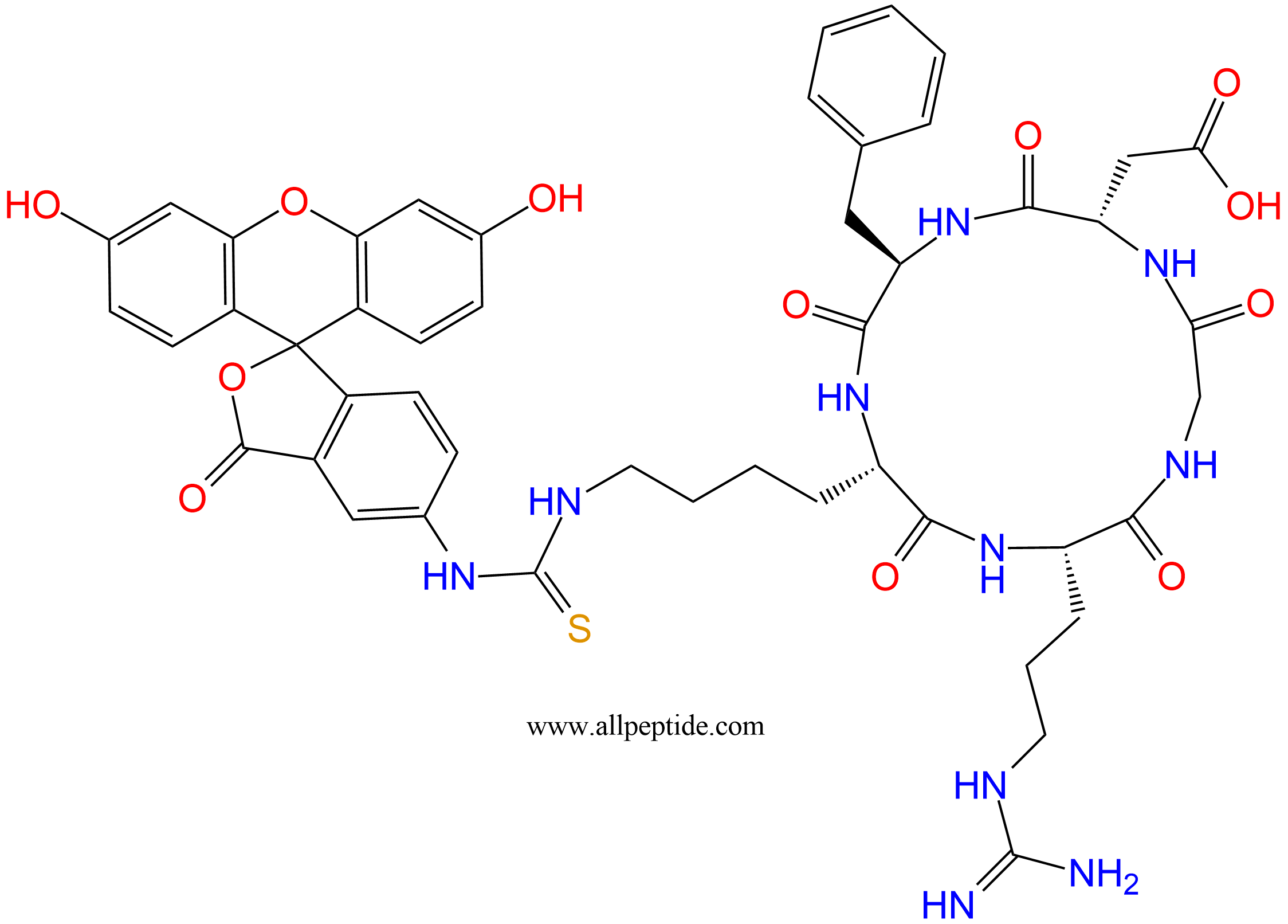 專肽生物產(chǎn)品c(RGD)環(huán)肽：c(RGDfK(FITC))、環(huán)狀多肽c(RGDfK)-FITC標(biāo)記、FITC-c(RGDfK)