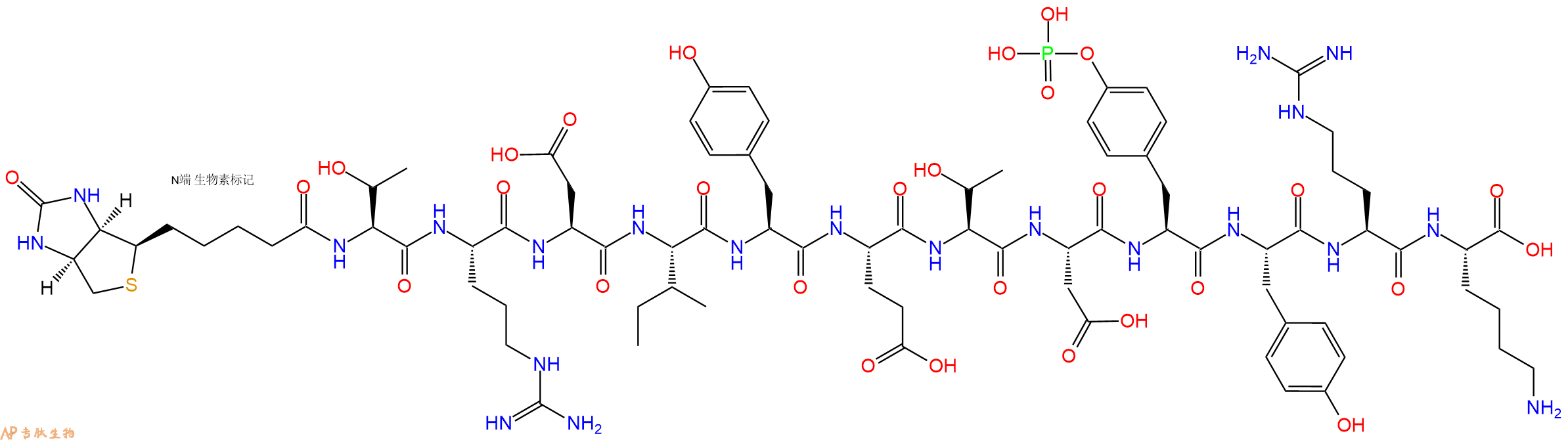 專肽生物產(chǎn)品[pTyr1150]-InsulinReceptor(1142-1153), Biotinylate