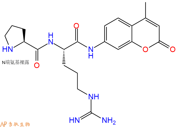 專肽生物產(chǎn)品二肽標記肽PR-7-氨基-4-甲基香豆素·2HCl546103-85-9