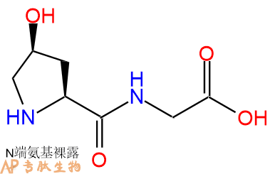專肽生物產(chǎn)品二肽Hyp-Gly7672-35-7