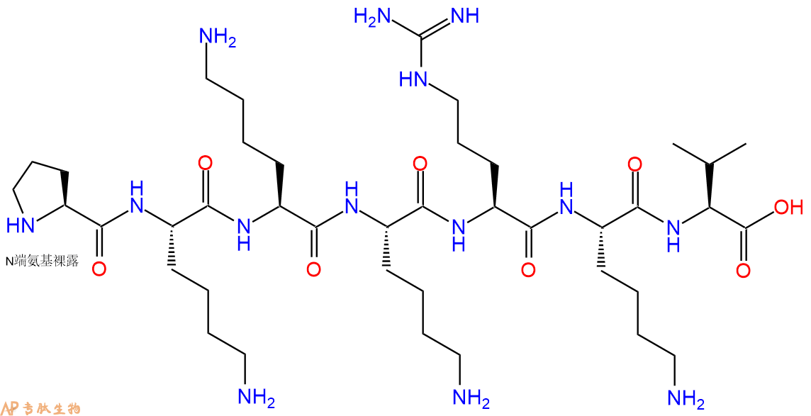 專肽生物產(chǎn)品SV40的核定位信號肽、Nuclear Localiation Signal Peptide95088-49-6