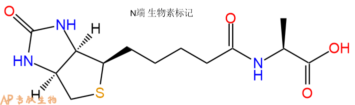 專肽生物產(chǎn)品Biotin-Ala