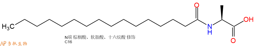 專肽生物產(chǎn)品Pal-Ala