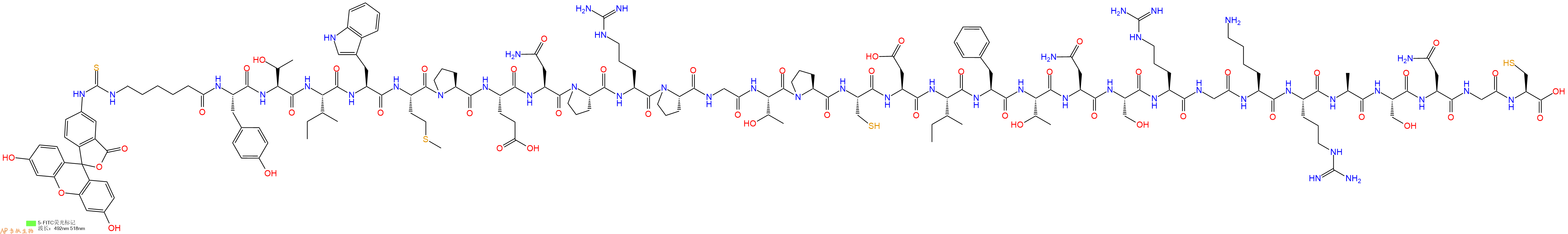 專肽生物產(chǎn)品熒光標(biāo)記狂犬病病毒肽Rabies Virus Glycoprotein、FITC-RVG peptide-Cys、FITC-RVG29-Cys、FITC-RVG-29-Cys