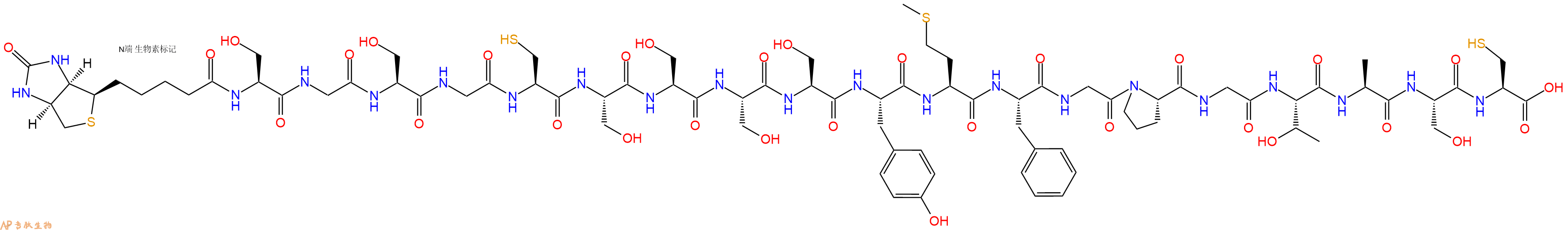 專肽生物產(chǎn)品Biotin-Ser-Gly-Ser-Gly-Cys-Ser-Ser-Ser-Ser-Tyr-Met-Phe-Gly-Pro-Gly-Thr-Ala-Ser-Cys-COOH