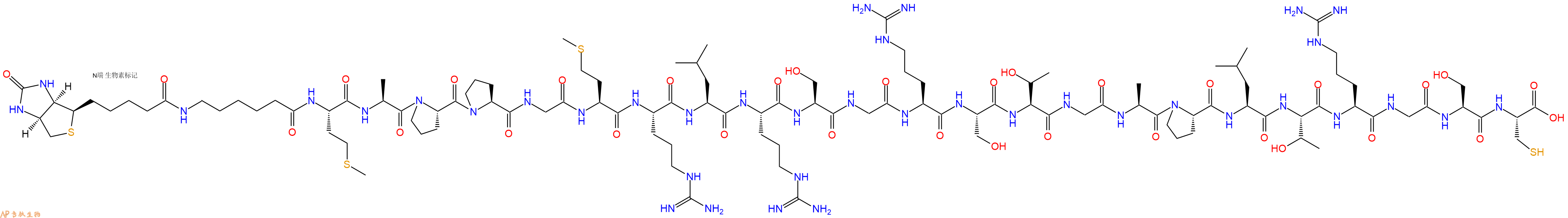 專肽生物產(chǎn)品Biotin-Ahx-Met-Ala-Pro-Pro-Gly-Met-Arg-Leu-Arg-Ser-Gly-Arg-Ser-Thr-Gly-Ala-Pro-Leu-Thr-Arg-Gly-Ser-Cys-COOH
