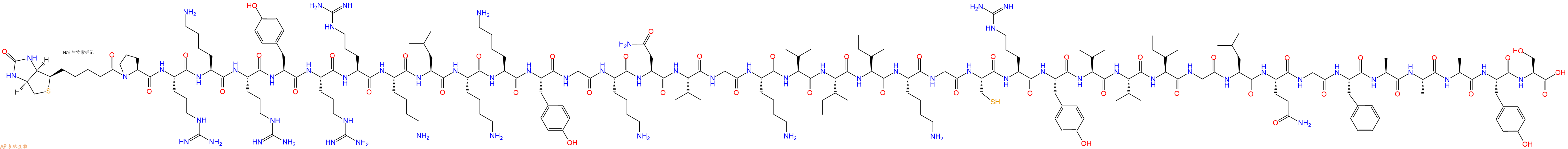 專肽生物產(chǎn)品Biotin-Pro-Arg-Lys-Arg-Tyr-Arg-Arg-Lys-Leu-Lys-Lys-Tyr-Gly-Lys-Asn-Val-Gly-Lys-Val-Ile-Ile-Lys-Gly-Cys-Arg-Tyr-Val-Val-Ile-Gly-Leu-Gln-Gly-Phe-Ala-Ala-Ala-Tyr-Ser-COOH
