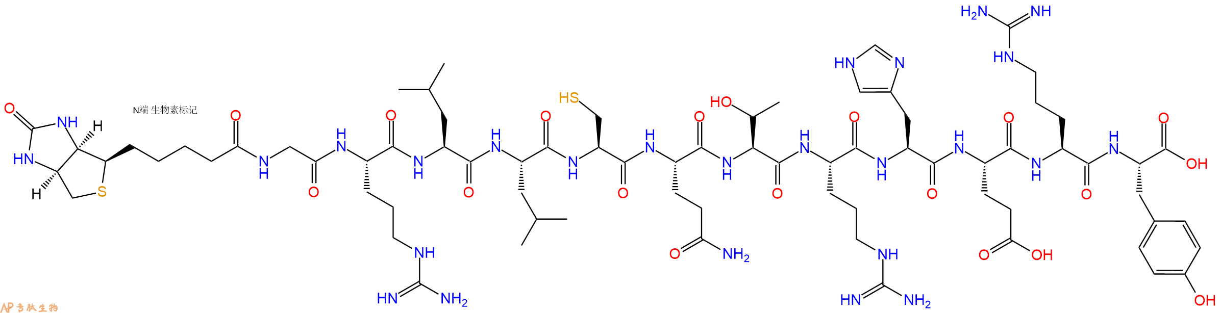 專肽生物產(chǎn)品Biotin-Gly-Arg-Leu-Leu-Cys-Gln-Thr-Arg-His-Glu-Arg-Tyr-COOH