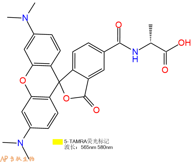 專肽生物產(chǎn)品5TAMRA-DAla-OH