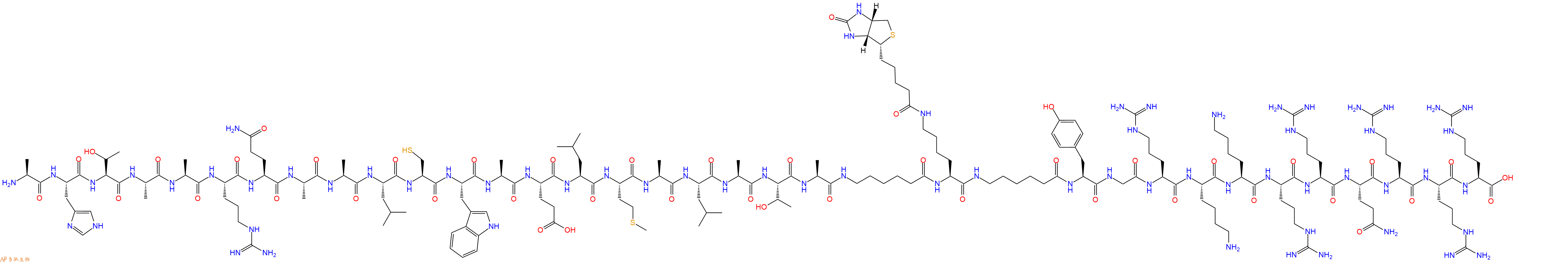 專肽生物產(chǎn)品H2N-Ala-His-Thr-Ala-Ala-Arg-Gln-Ala-Ala-Leu-Cys-Trp-Ala-Glu-Leu-Met-Ala-Leu-Ala-Thr-Ala-Ahx-Lys(Biotin)-Ahx-Tyr-Gly-Arg-Lys-Lys-Arg-Arg-Gln-Arg-Arg-Arg-OH