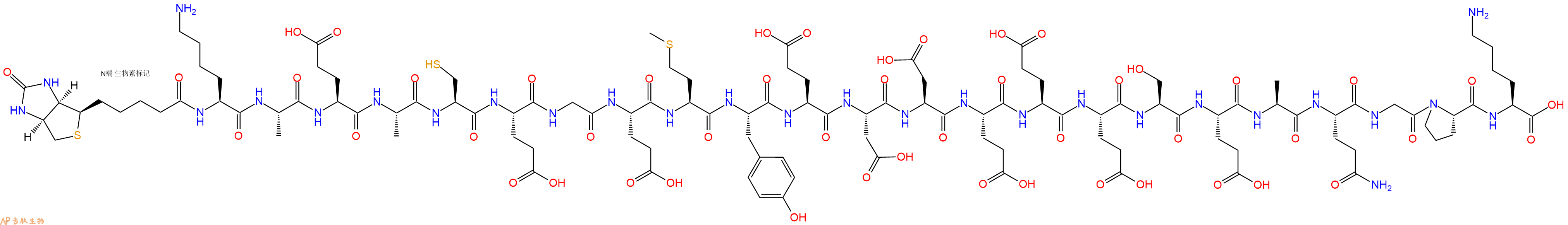 專肽生物產品Biotinyl-Lys-Ala-Glu-Ala-Cys-Glu-Gly-Glu-Met-Tyr-Glu-Asp-Asp-Glu-Glu-Glu-Ser-Glu-Ala-Gln-Gly-Pro-Lys-OH