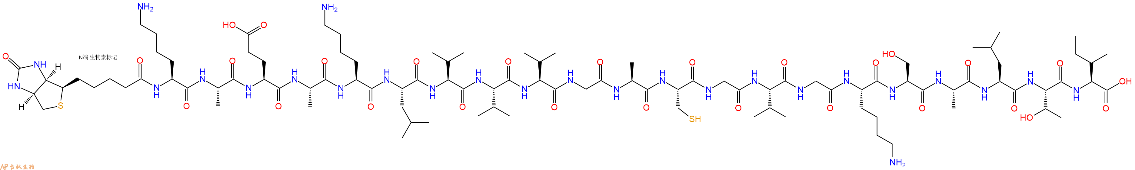 專肽生物產品Biotinyl-Lys-Ala-Glu-Ala-Lys-Leu-Val-Val-Val-Gly-Ala-Cys-Gly-Val-Gly-Lys-Ser-Ala-Leu-Thr-Ile-OH