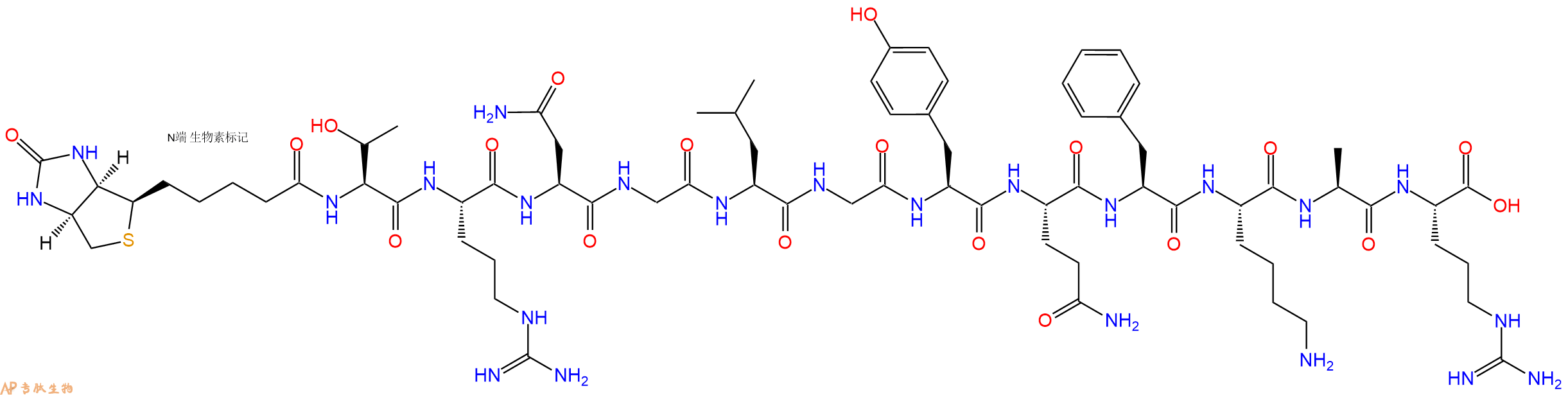 專肽生物產(chǎn)品Biotinyl-Thr-Arg-Asn-Gly-Leu-Gly-Tyr-Gln-Phe-Lys-Ala-Arg-OH