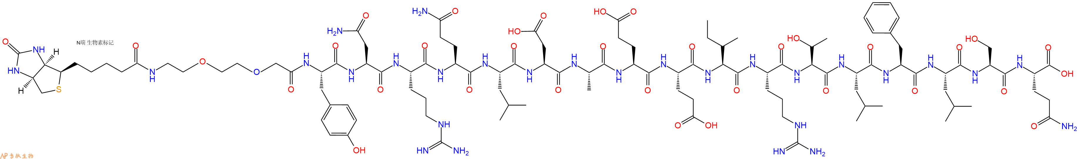 專肽生物產(chǎn)品Biotinyl-PEG2-Tyr-Asn-Arg-Gln-Leu-Asp-Ala-Glu-Glu-Ile-Arg-Thr-Leu-Phe-Leu-Ser-Gln