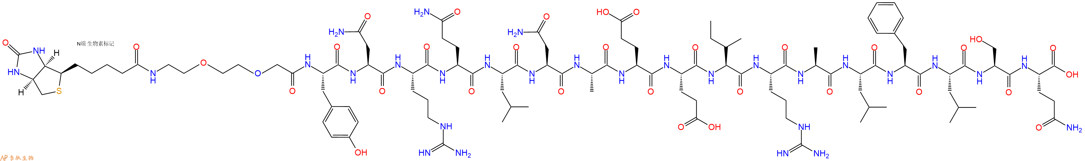 專肽生物產(chǎn)品Biotinyl-PEG2-Tyr-Asn-Arg-Gln-Leu-Asn-Ala-Glu-Glu-Ile-Arg-Ala-Leu-Phe-Leu-Ser-Gln