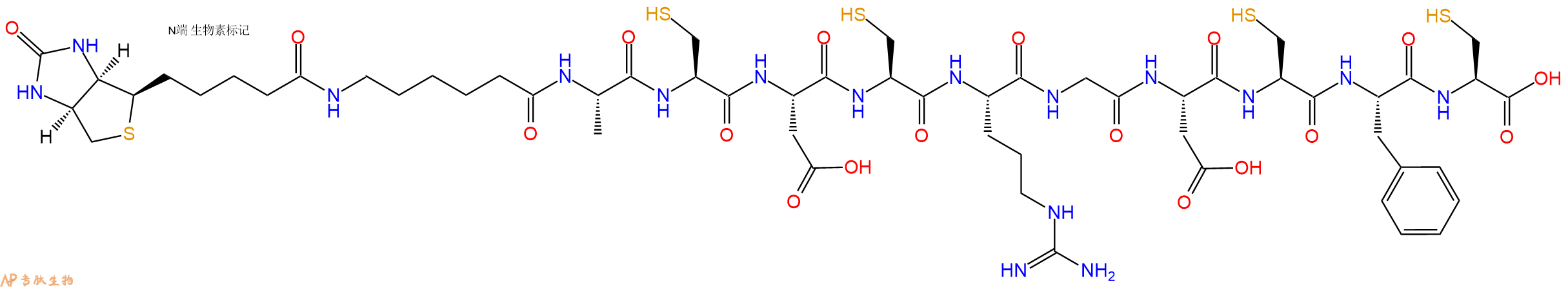 專肽生物產(chǎn)品Biotinyl-Ahx-Ala-Cys-Asp-Cys-Arg-Gly-Asp-Cys-Phe-Cys-OH