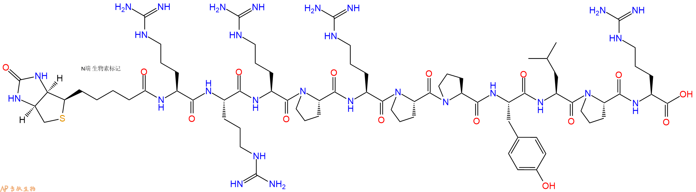 專(zhuān)肽生物產(chǎn)品Biotinyl-Arg-Arg-Arg-Pro-Arg-Pro-Pro-Tyr-Leu-Pro-Arg-OH