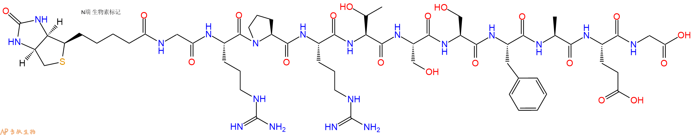 專肽生物產(chǎn)品Biotinyl-Gly-Arg-Pro-Arg-Thr-Ser-Ser-Phe-Ala-Glu-Gly-OH