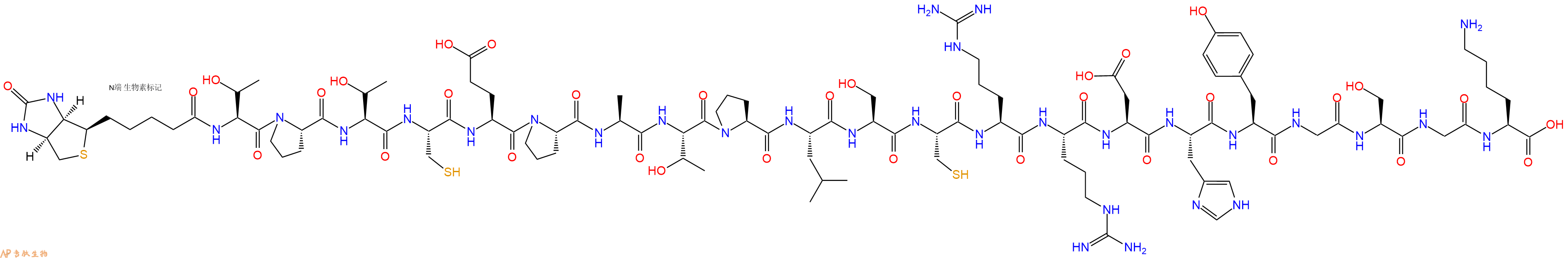 專肽生物產品Biotinyl-Thr-Pro-Thr-Cys-Glu-Pro-Ala-Thr-Pro-Leu-Ser-Cys-Arg-Arg-Asp-His-Tyr-Gly-Ser-Gly-Lys-OH
