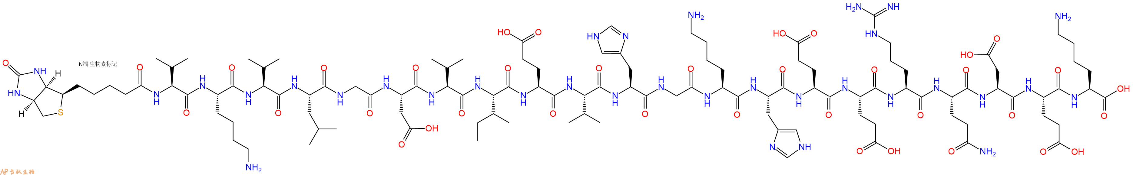 專肽生物產(chǎn)品Biotinyl-Val-Lys-Val-Leu-Gly-Asp-Val-Ile-Glu-Val-His-Gly-Lys-His-Glu-Glu-Arg-Gln-Asp-Glu-Lys-OH