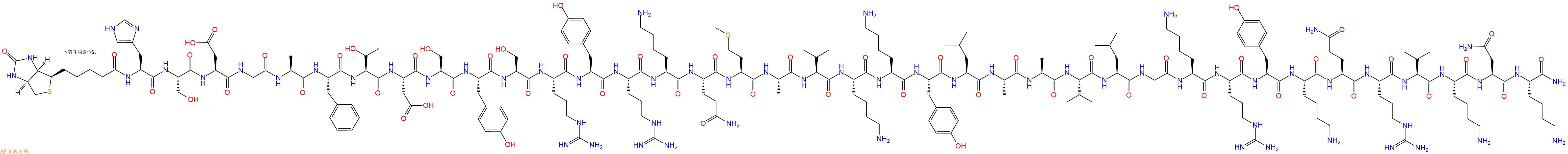 專肽生物產(chǎn)品Biotinyl-His-Ser-Asp-Gly-Ala-Phe-Thr-Asp-Ser-Tyr-Ser-Arg-Tyr-Arg-Lys-Gln-Met-Ala-Val-Lys-Lys-Tyr-Leu-Ala-Ala-Val-Leu-Gly-Lys-Arg-Tyr-Lys-Gln-Arg-Val-Lys-Asn-Lys-NH2