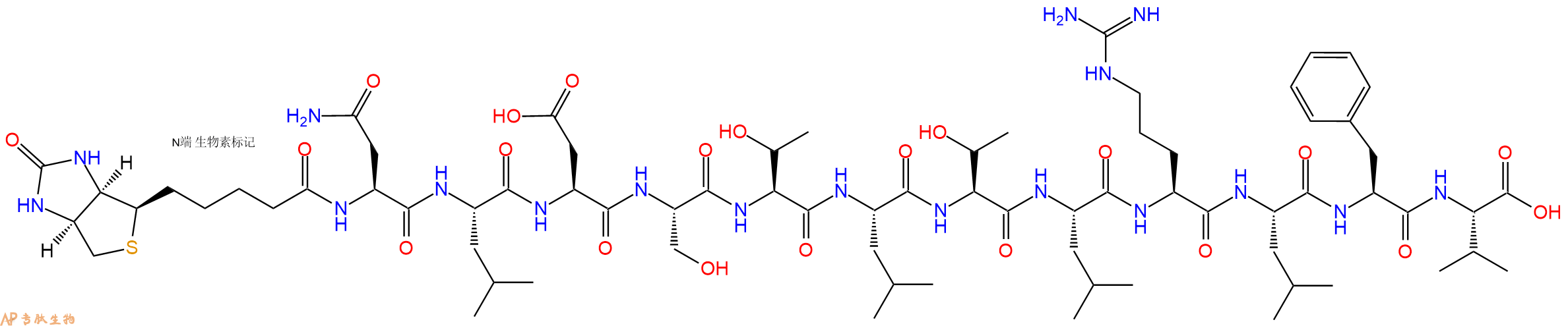 專肽生物產(chǎn)品Biotinyl-Asn-Leu-Asp-Ser-Thr-Leu-Thr-Leu-Arg-Leu-Phe-Val-OH