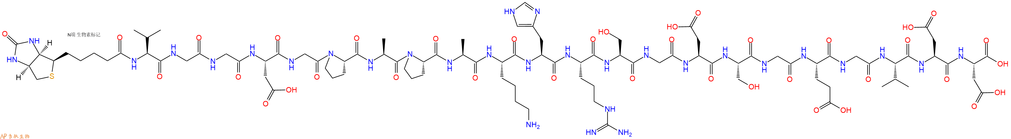 專肽生物產(chǎn)品Biotinyl-Val-Gly-Gly-Asp-Gly-Pro-Ala-Pro-Ala-Lys-His-Arg-Ser-Gly-Asp-Ser-Gly-Glu-Gly-Val-Asp-Asp-OH