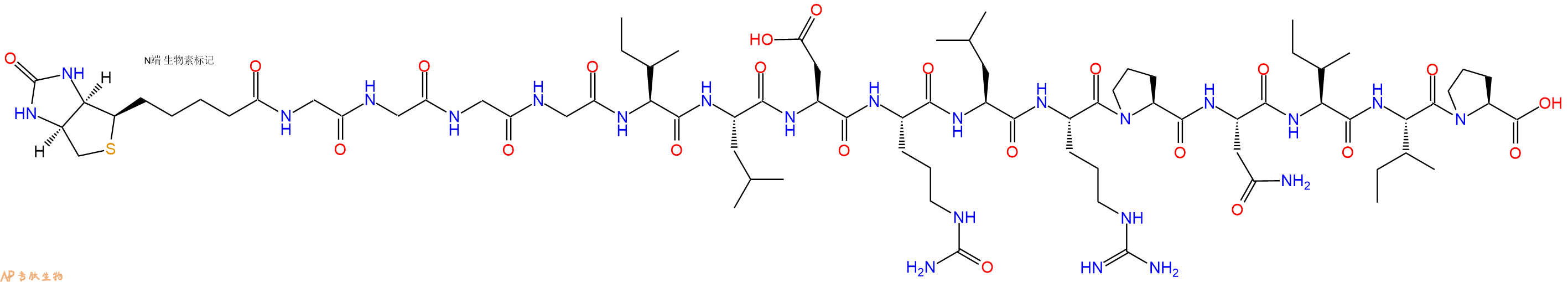 專肽生物產品Biotinyl-Gly-Gly-Gly-Gly-Ile-Leu-Asp-Cit-Leu-Arg-Pro-Asn-Ile-Ile-Pro-OH