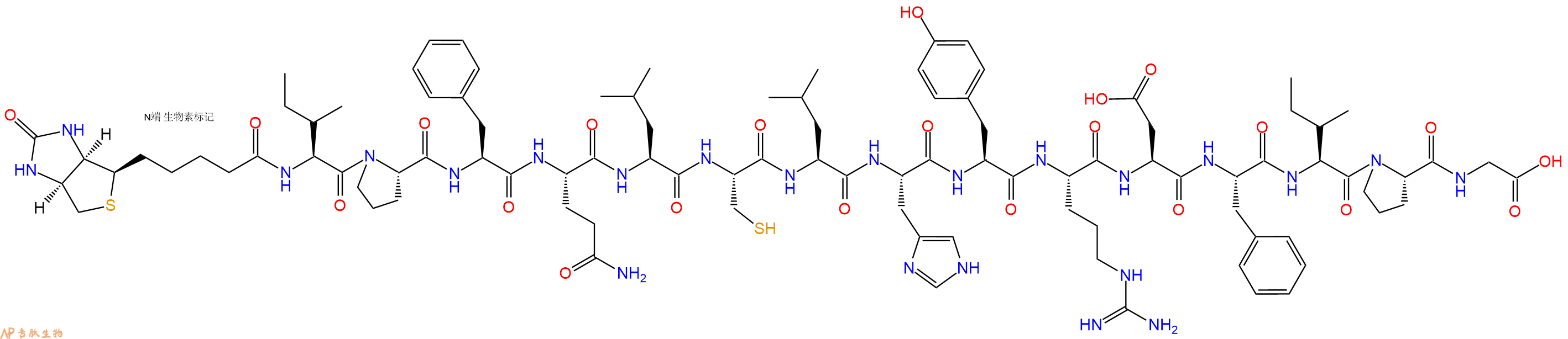 專肽生物產(chǎn)品Biotinyl-Ile-Pro-Phe-Gln-Leu-Cys-Leu-His-Tyr-Arg-Asp-Phe-Ile-Pro-Gly-OH