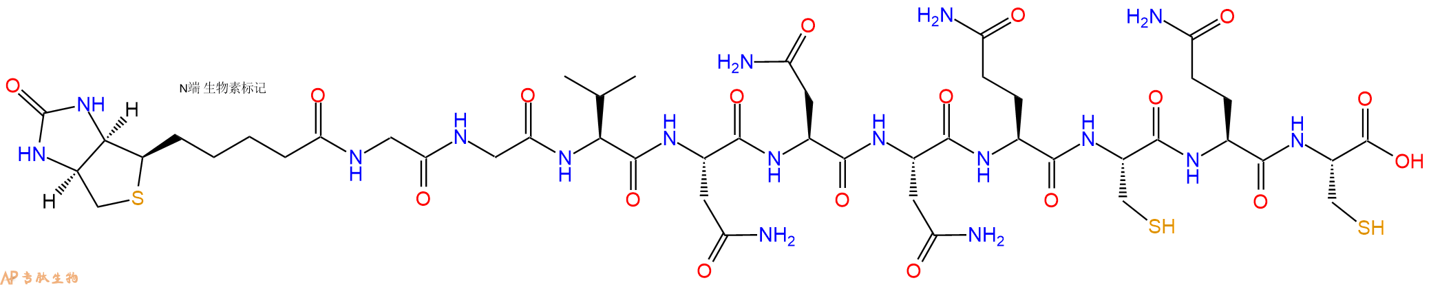 專肽生物產(chǎn)品Biotinyl-Gly-Gly-Val-Asn-Asn-Asn-Gln-Cys-Gln-Cys-OH