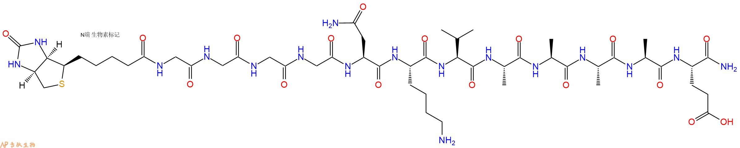 專肽生物產(chǎn)品Biotinyl-Gly-Gly-Gly-Gly-Asn-Lys-Val-Ala-Ala-Ala-Ala-Glu-NH2