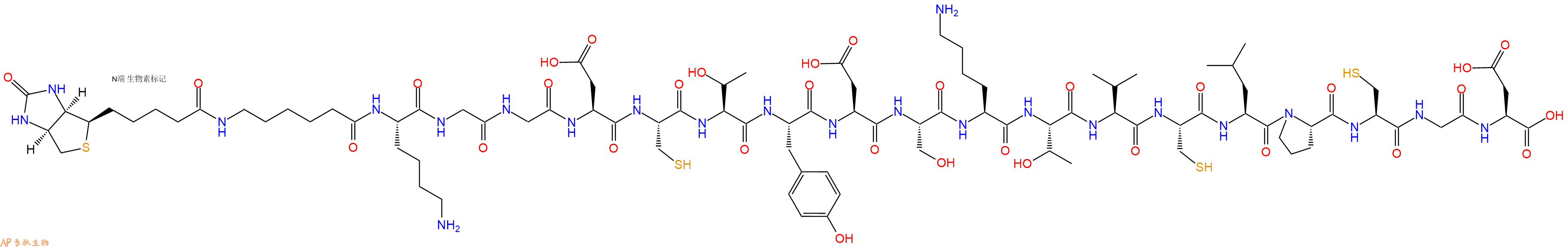 專肽生物產(chǎn)品Biotinyl-Ahx-Lys-Gly-Gly-Asp-Cys-Thr-Tyr-Asp-Ser-Lys-Thr-Val-Cys-Leu-Pro-Cys-Gly-Asp-OH