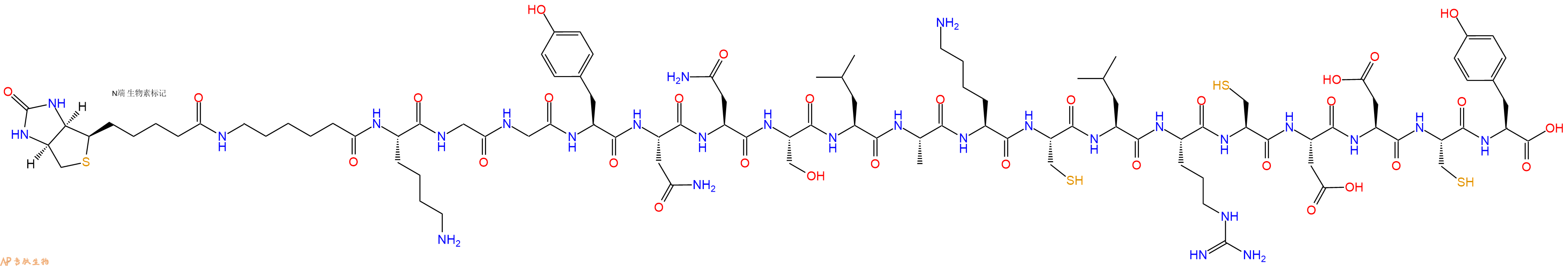 專肽生物產(chǎn)品Biotinyl-Ahx-Lys-Gly-Gly-Tyr-Asn-Asn-Ser-Leu-Ala-Lys-Cys-Leu-Arg-Cys-Asp-Asp-Cys-Tyr-OH