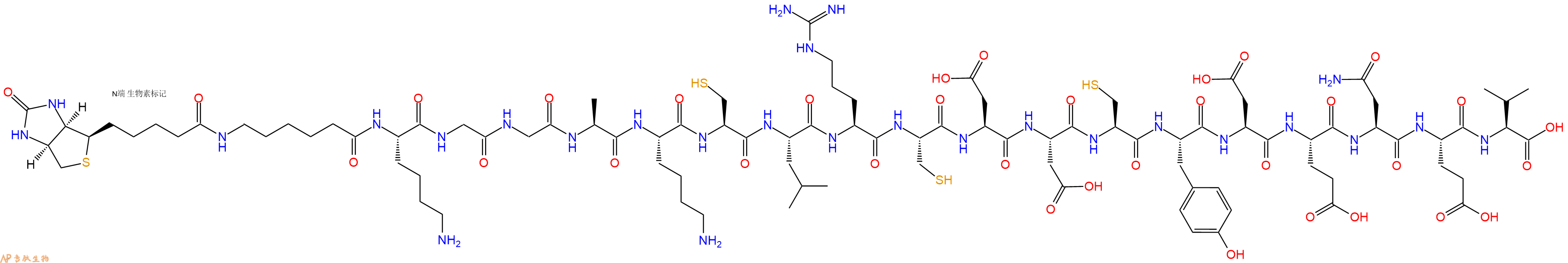 專肽生物產(chǎn)品Biotinyl-Ahx-Lys-Gly-Gly-Ala-Lys-Cys-Leu-Arg-Cys-Asp-Asp-Cys-Tyr-Asp-Glu-Asn-Glu-Val-OH