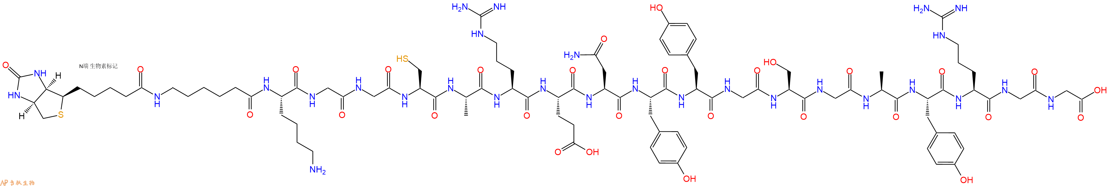專肽生物產(chǎn)品Biotinyl-Ahx-Lys-Gly-Gly-Cys-Ala-Arg-Glu-Asn-Tyr-Tyr-Gly-Ser-Gly-Ala-Tyr-Arg-Gly-Gly-OH