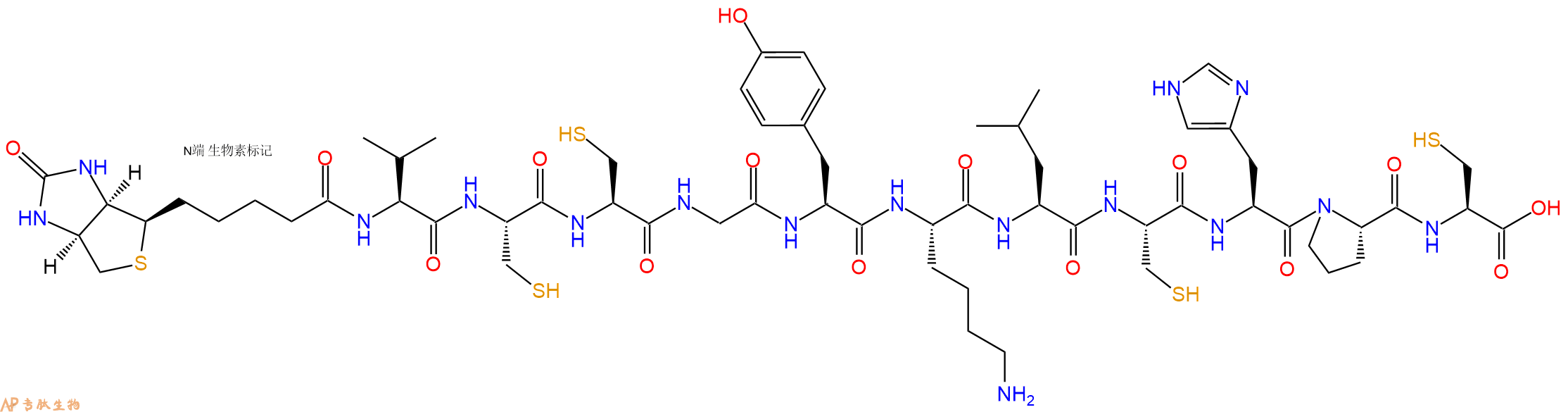 專肽生物產(chǎn)品Biotinyl-Val-Cys-Cys-Gly-Tyr-Lys-Leu-Cys-His-Pro-Cys-OH