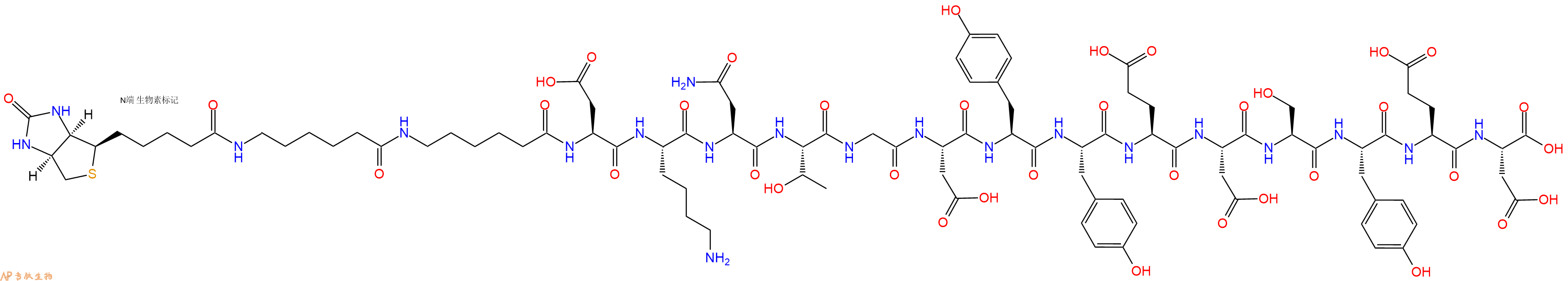 專肽生物產(chǎn)品Biotinyl-Ahx-Ahx-Asp-Lys-Asn-Thr-Gly-Asp-Tyr-Tyr-Glu-Asp-Ser-Tyr-Glu-Asp-OH