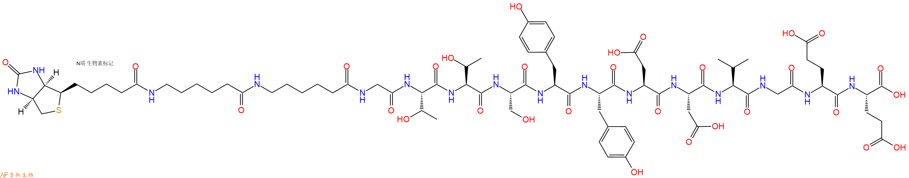專肽生物產(chǎn)品Biotinyl-Ahx-Ahx-Gly-Thr-Thr-Ser-Tyr-Tyr-Asp-Asp-Val-Gly-Glu-Glu-OH
