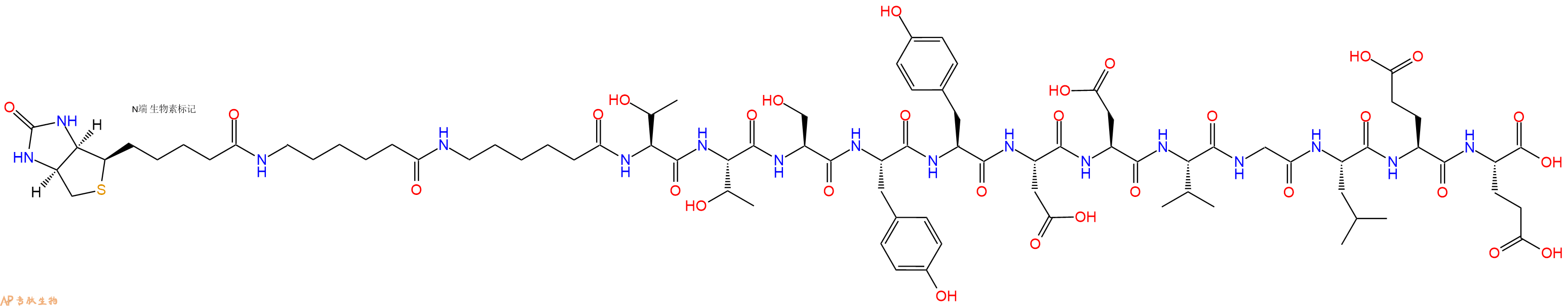 專肽生物產(chǎn)品Biotinyl-Ahx-Ahx-Thr-Thr-Ser-Tyr-Tyr-Asp-Asp-Val-Gly-Leu-Glu-Glu-OH